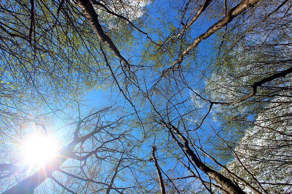 Թռչնի թռիչքի բարձրությունից նայած աշխարհը